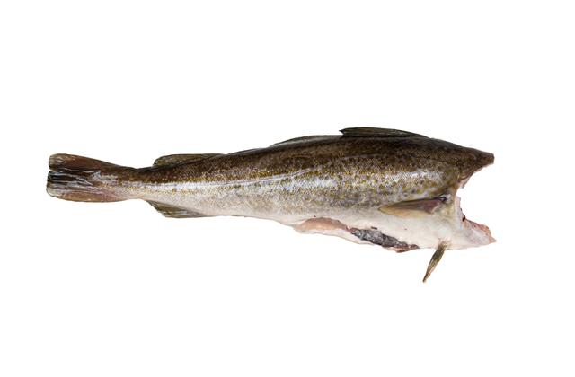 Dorsz bałtycki tusza, 1kg