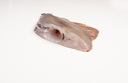 Gładzica bałtycka po kołobrzesku - (200 g+)