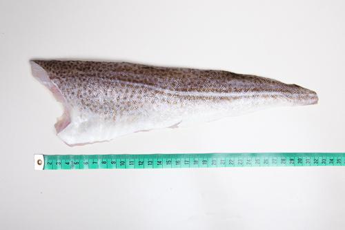 Dorsz bałtycki - filet ze skórą (100-200 g)