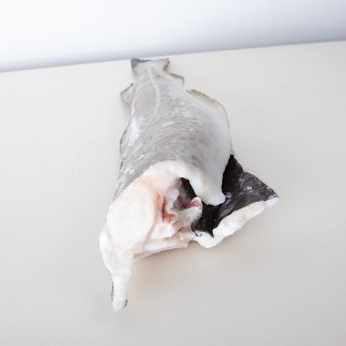 Dorsz atlantycki- tusza (600 - 800 g, 1-1,5 kg, big box 500 kg) - J-CUT