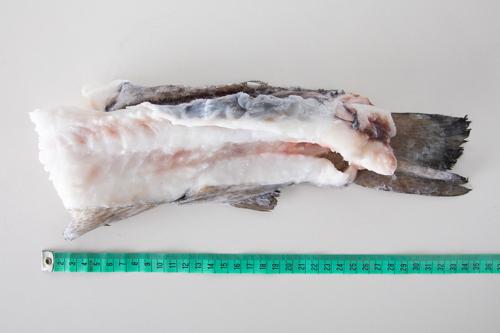 Kręgosłupy z dorsza - pakowane w karton 10 kg - IQF - glazura techniczna