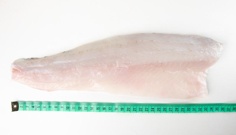 Sandacz filet 1 kg