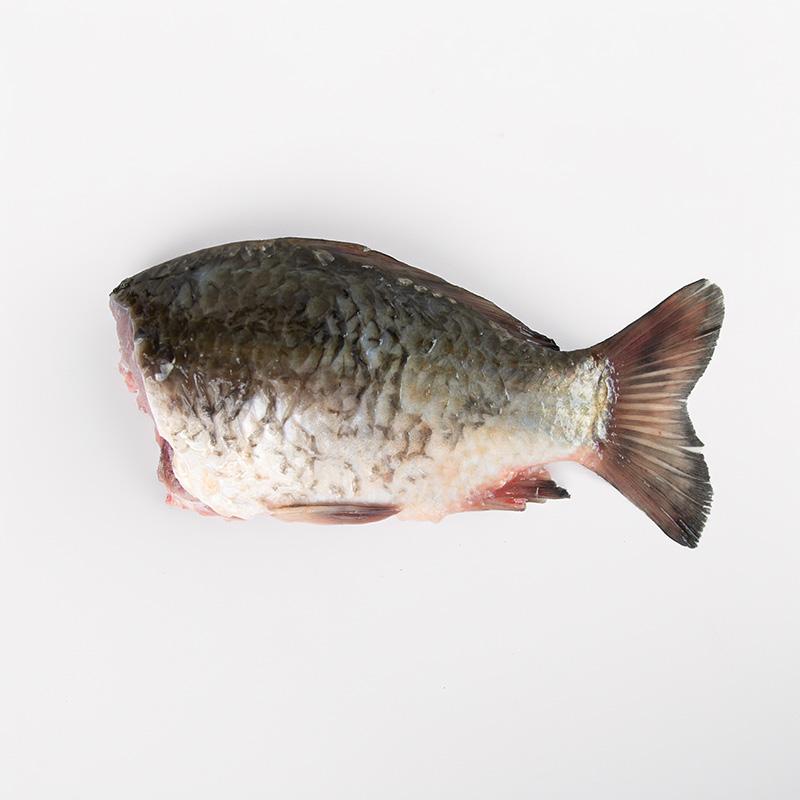 Karaś tusza