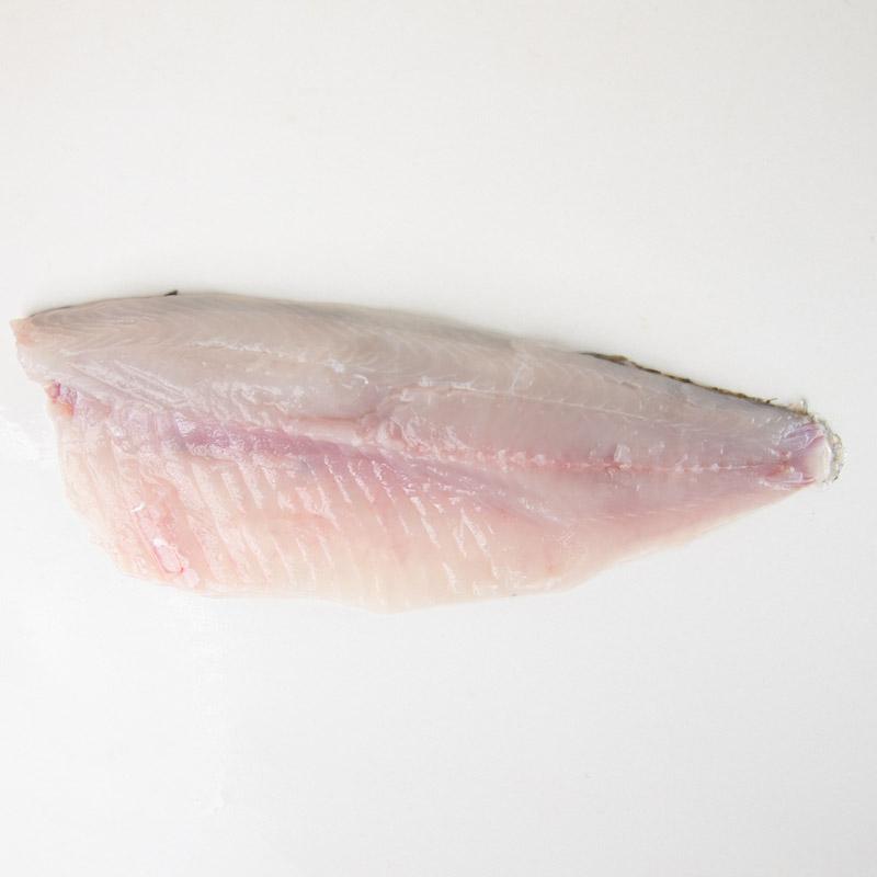 Płoć filet