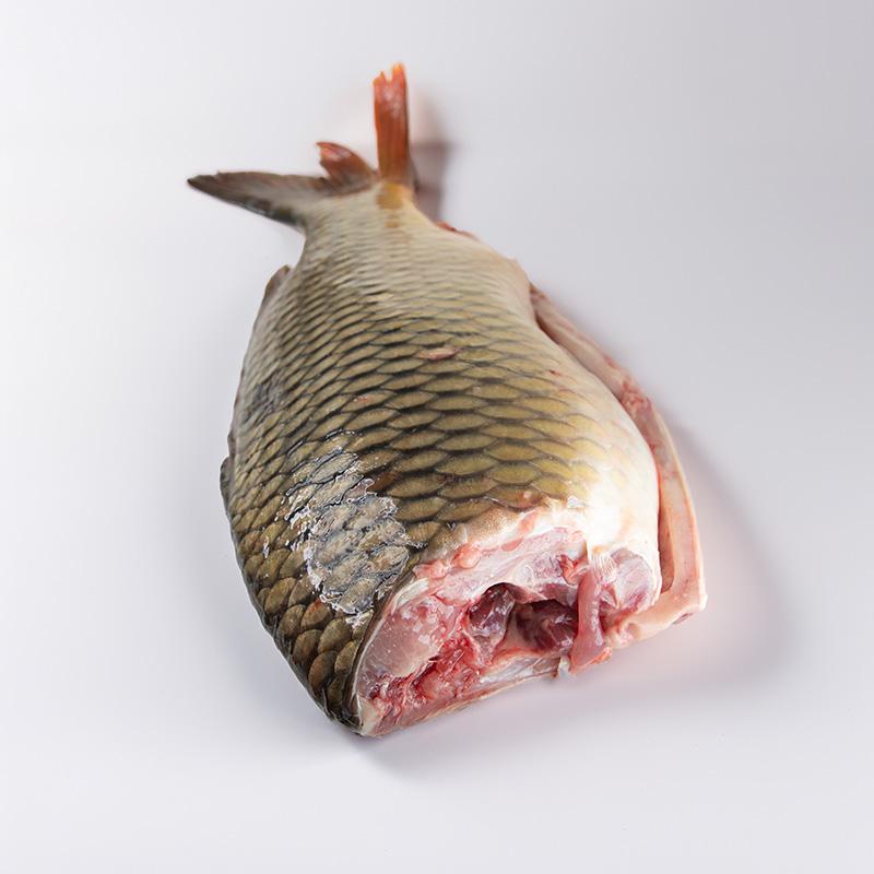 Karp tusza