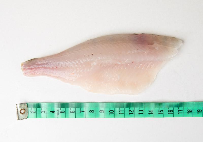 Okoń filet